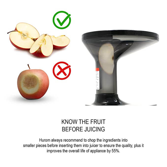 Hurom H-100 Series Juicer