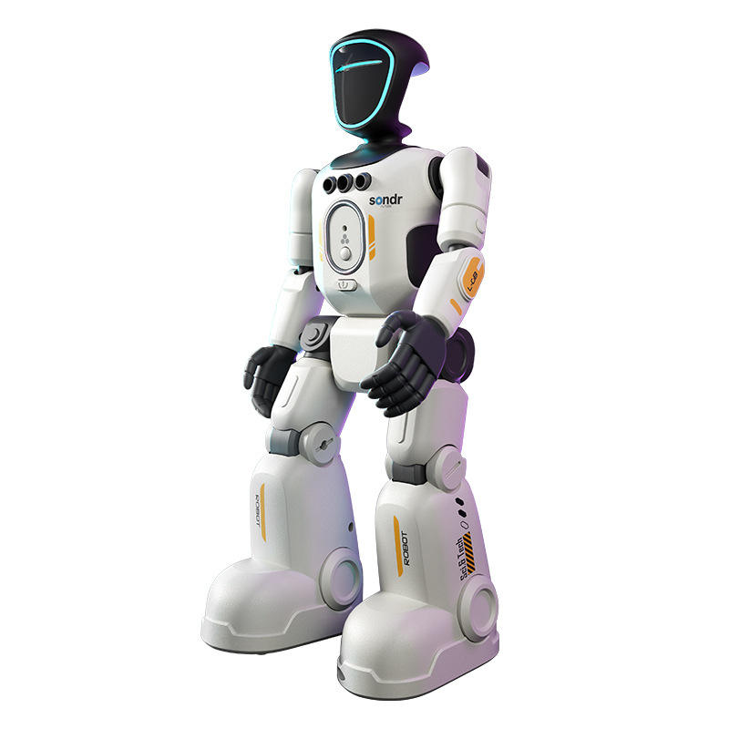 Remote Control Bionic Robot